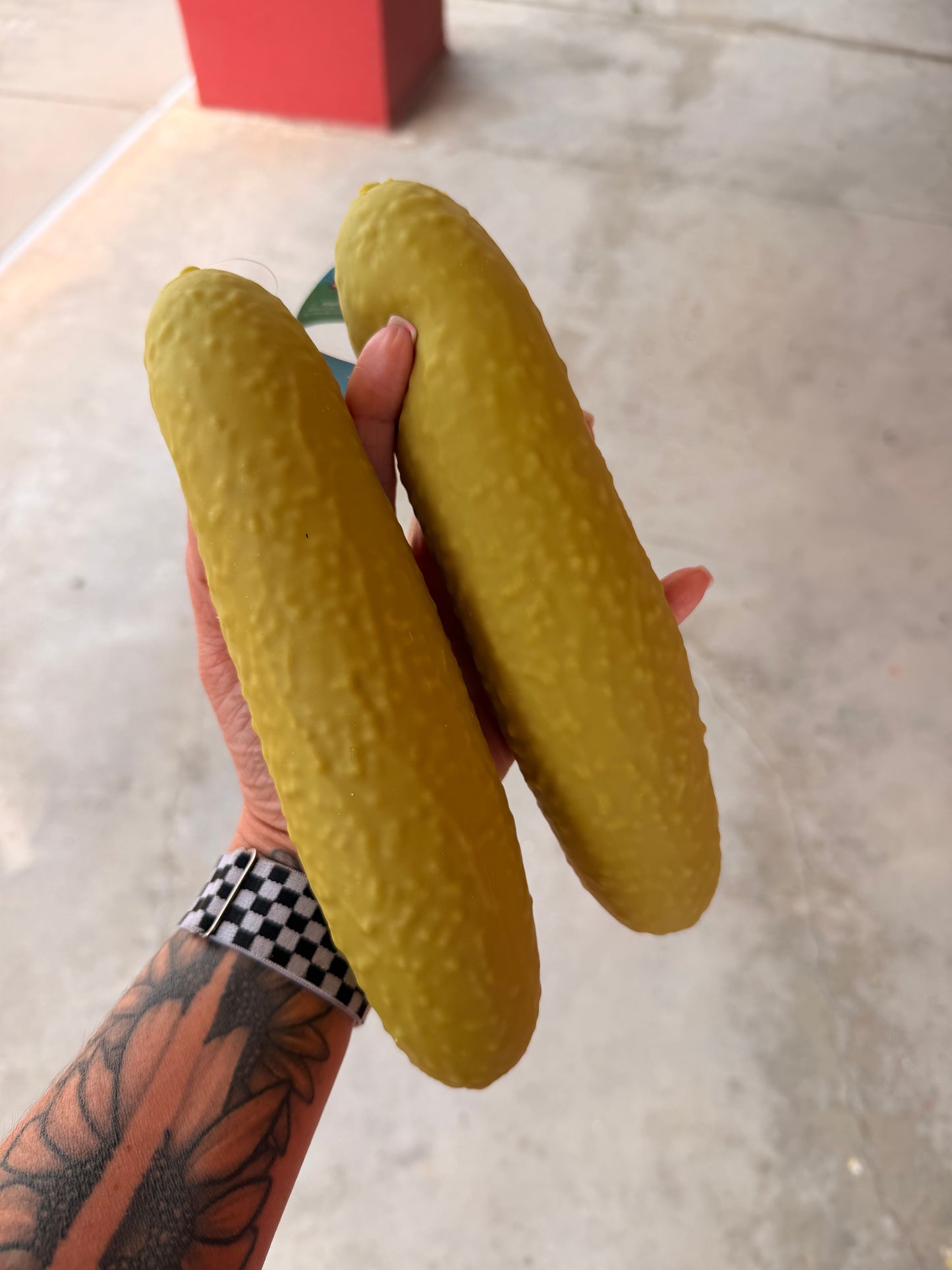 RTS - LARGE PICKLE SQUISHY